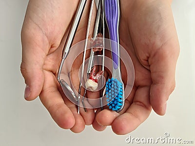 Dental tools dental implants and toothbrush in children hands. Children dentist Stock Photo