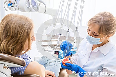 Dentist Demonstrating Model Teeth To Young Female Patient Stock Photo