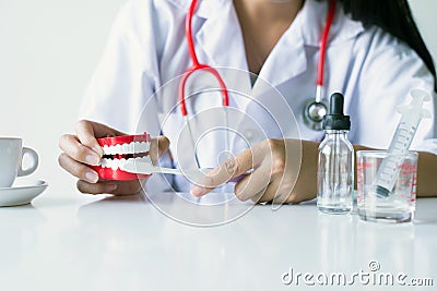 Dentist diagnose plastic teeth models in hospital,Concept of dental checking Stock Photo