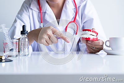 Dentist diagnose plastic teeth models with toothbrush, Concept of dental checking Stock Photo