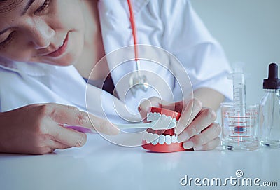 Dentist diagnose teeth model dentures with toothbrush,dental hygienist checkup concept Stock Photo