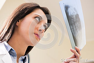 Dentist Examining X-Ray Stock Photo