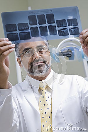 Dentist Examining X-Ray Report Stock Photo