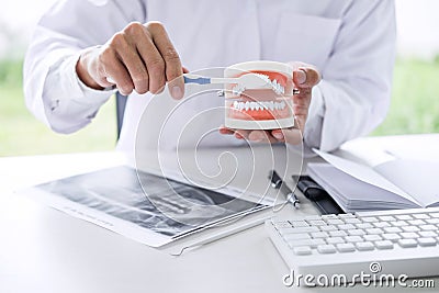 Dentist hand holding of jaw model of teeth and cleaning dental with toothbrush Stock Photo