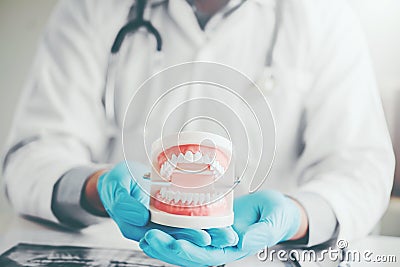 Dentist holding a denture learning how to teeth At dentistÂ’s of Stock Photo