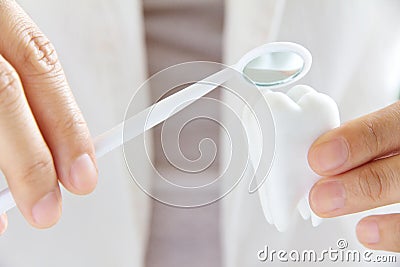 Dentist holding molar Stock Photo