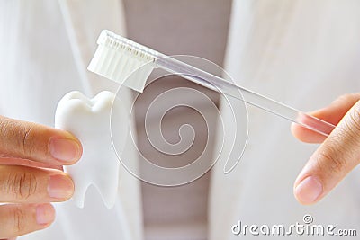 Dentist holding molar with brush Stock Photo