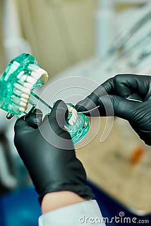 Dentist holding teeth model denture, showing with diagnostic periodontal probe and explaing Stock Photo