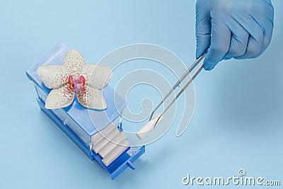 Dentist`s hand with tweezers and box of cotton tampons Stock Photo