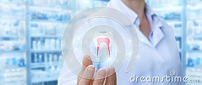 Dentist showing tooth model . Stock Photo