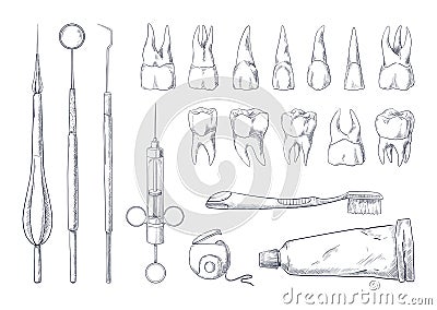 Dentist sketch. Hand drawn stomatology equipment vintage engraving with different teeth types. Toothpaste and toothbrush Vector Illustration