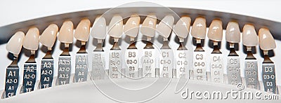 Dentistry, dental tools, medicine Stock Photo