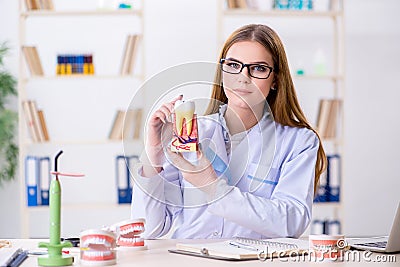 The dentistry student practicing skills in classroom Stock Photo