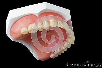 Denture Stock Photo