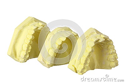 Denture Molds Stock Photo