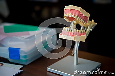 Dentures mold for endodontic treatment practice Stock Photo