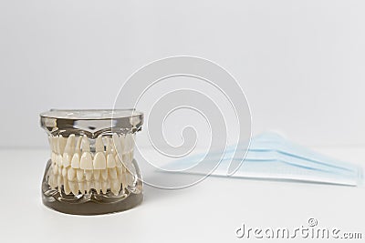 Dentures next to safety mask Stock Photo