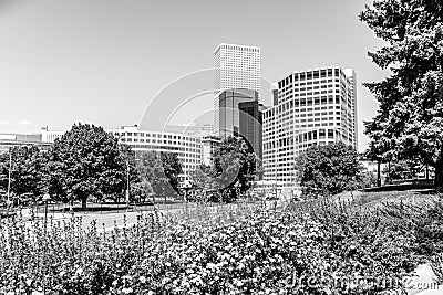 Denver Colorado Skyline Cityscape office buildings and flowers Stock Photo