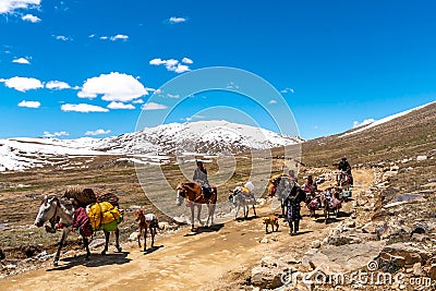 Deosai National Park Nomads 55 Editorial Stock Photo