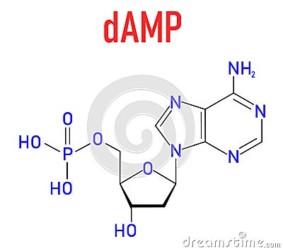Deoxyadenosine monophosphate or dAMP nucleotide molecule. DNA building block. Skeletal formula. Vector Illustration