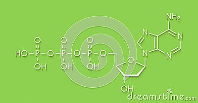 Deoxyadenosine triphosphate dATP nucleotide molecule. DNA building block. Skeletal formula. Stock Photo