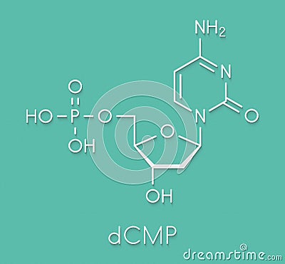Deoxycytidine monophosphate dCMP nucleotide molecule. DNA building block. Skeletal formula. Stock Photo