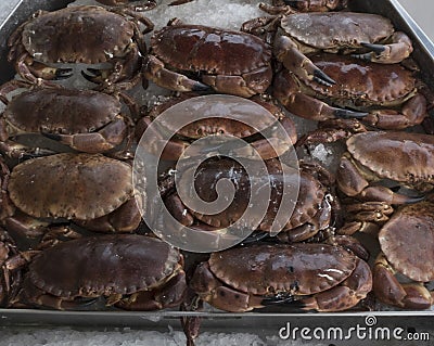 Deposit of crab on fish market stall Stock Photo