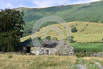 Derelict barn by tree Stock Photo