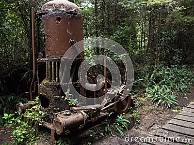 Derelict Donkey Stock Photo