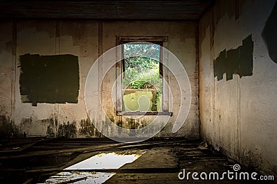 Derelict Room Stock Photo