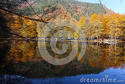 Derin Lake in Yedigoller National Park, Bolu, Turkey Stock Photo