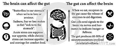 Brain gut interaction Stock Photo