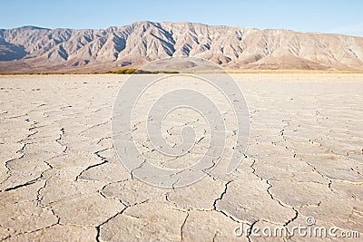 Desert Stock Photo