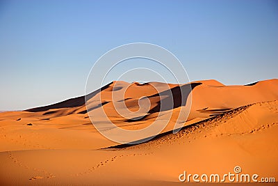 Desert Stock Photo