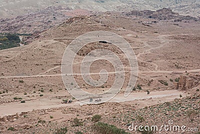 Desert and Bedouin habitat with camels, horses sheep and donkey Stock Photo