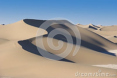 The desert Stock Photo