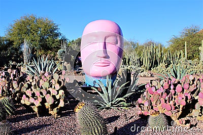 Desert Botanical Garden Phoenix Arizona Editorial Stock Photo