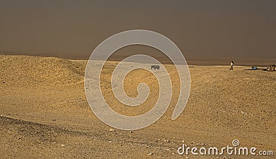 The desert calling Stock Photo