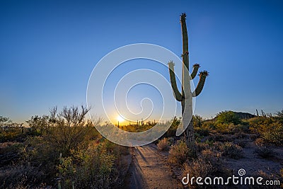 Desert Discovery Nature Trail sunset near Tuscon Arizona Stock Photo