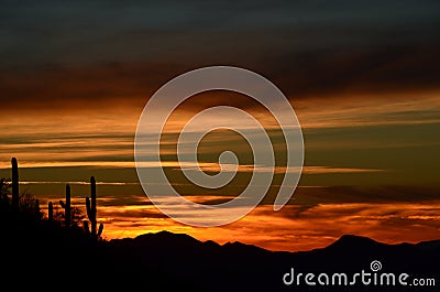 Desert Dreamtime, Saguaro Sentinels, Saguaro National Park, Sonoran Desert Stock Photo