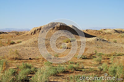 Desert ground dry whell Stock Photo