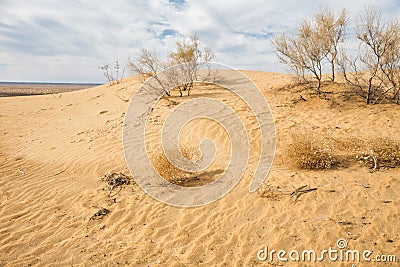 Desert Kyzylkum Stock Photo