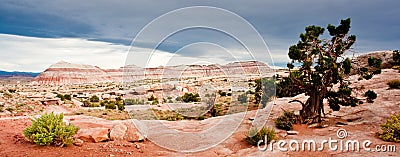 Desert Landscape Stock Photo