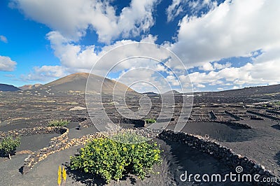 Volcanic desert landscape, Lanzarote island - Timanfaya - Canary Islands - Spain Stock Photo