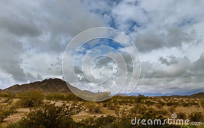 Desert landscape in Phoenix, Arizona cactus on the mountain Stock Photo