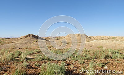 Desert landscape poor green vegetation Stock Photo