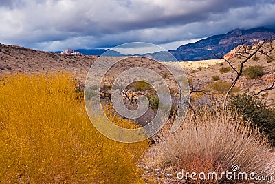 Desert landscape with rainy clouds in Nevada Stock Photo