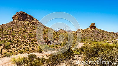 Desert Landscape and rugged Mountains in Tonto National Forest in Arizona, USA Stock Photo