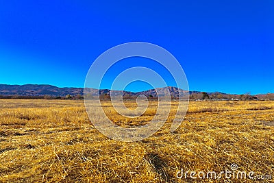 Desert landscape transitioning into mountains Stock Photo