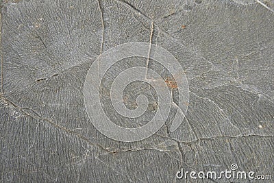 Desert limestone texture Stock Photo